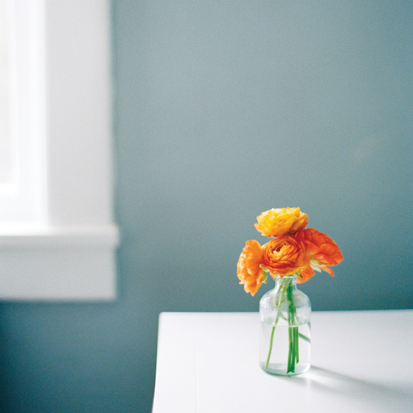 katie stoops photography-ranauculous