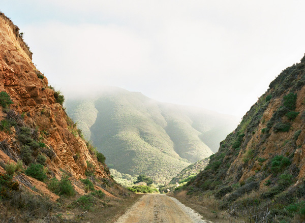 katie stoops photography- san francisco wedding