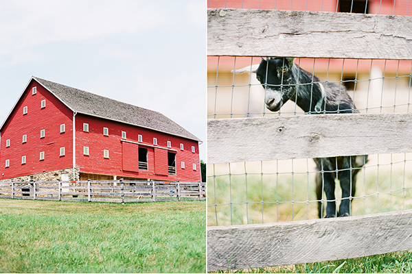 katie stoops photography-farm wedding-barn wedding-maryland wedding02