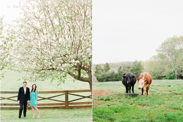 katie stoops photography-charlottesville engagement10